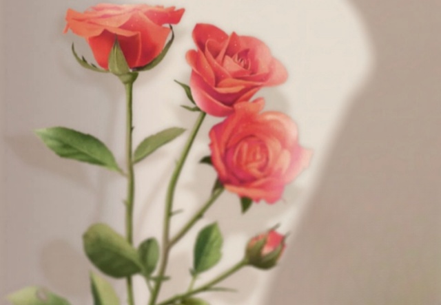 祝天下女神們節(jié)日快樂?。?！